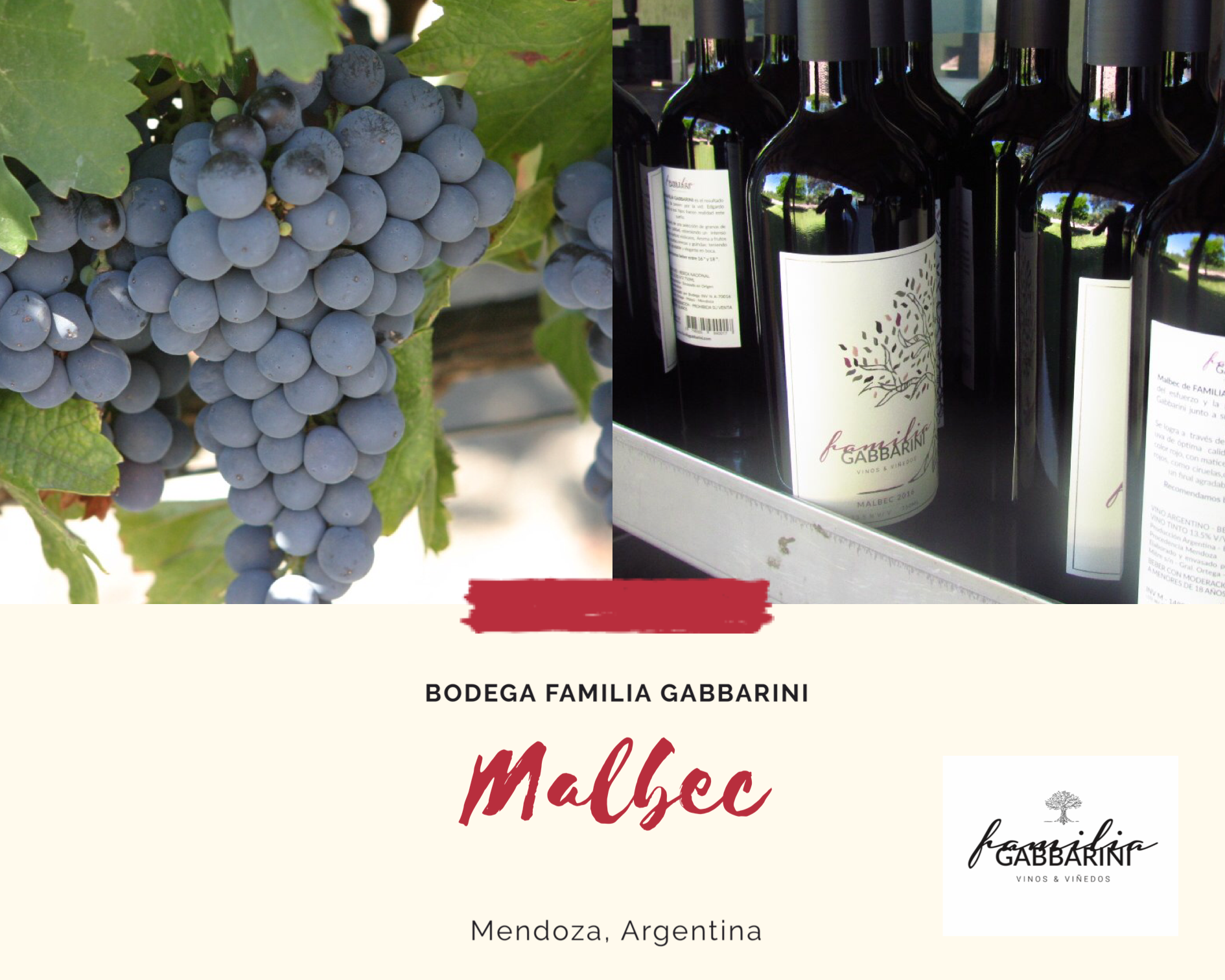 BOTELLA DE VINO MALBEC-SYRAH