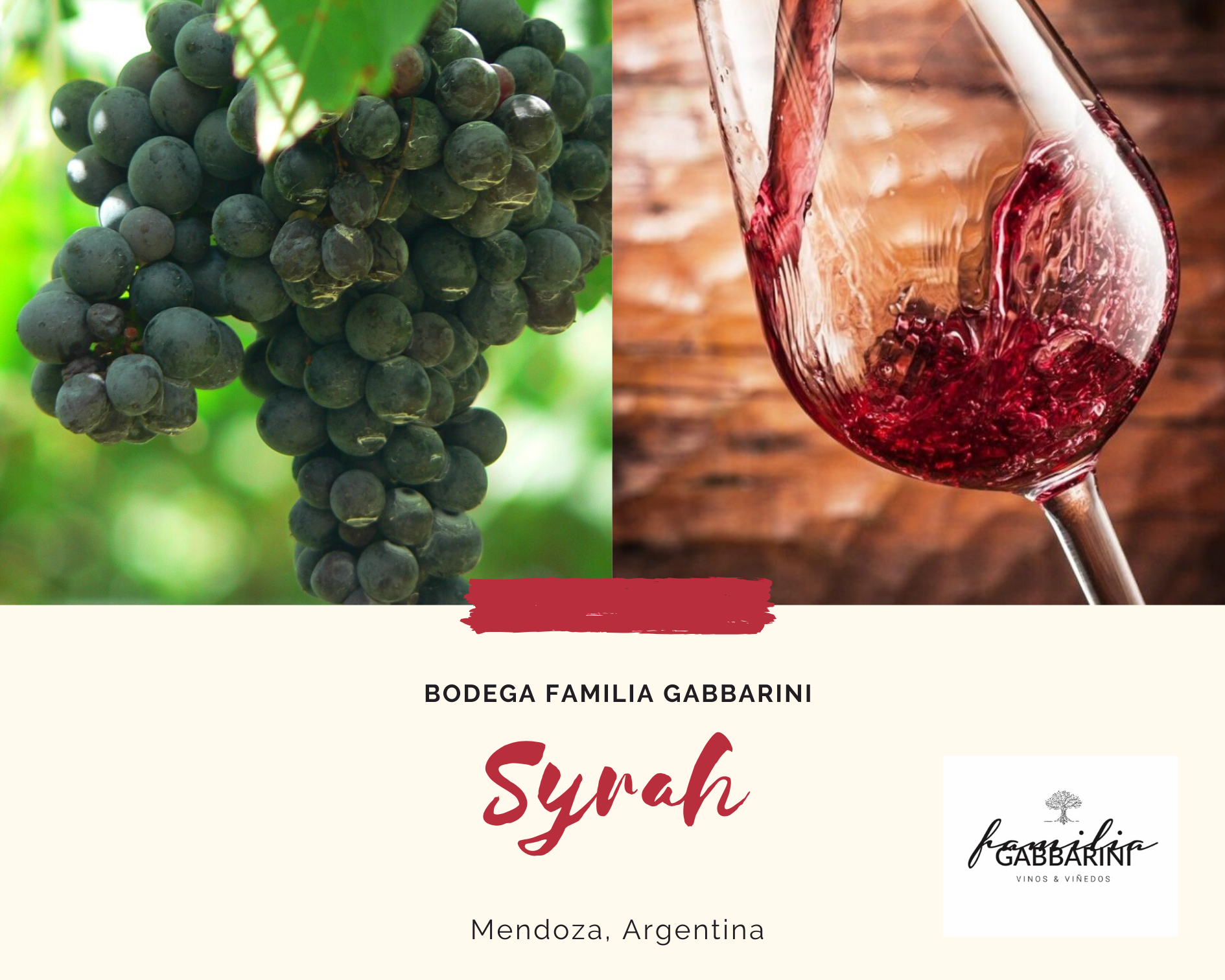 BOTELLA DE VINO SYRAH